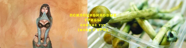 бошки Осташков