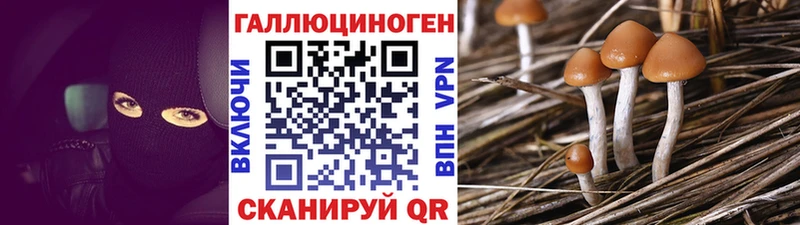 сколько стоит  Боготол  Галлюциногенные грибы мицелий 