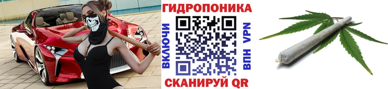 МАРИХУАНА гибрид  kraken ТОР  Боготол 
